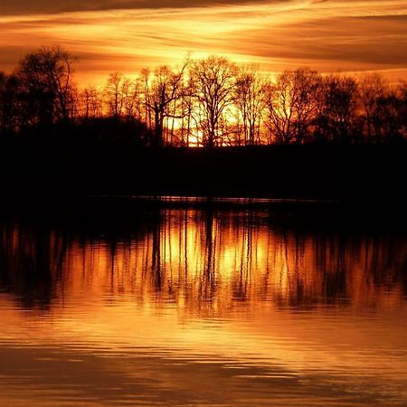 Ferienwohnung Am Duemmer See Dummer المظهر الخارجي الصورة