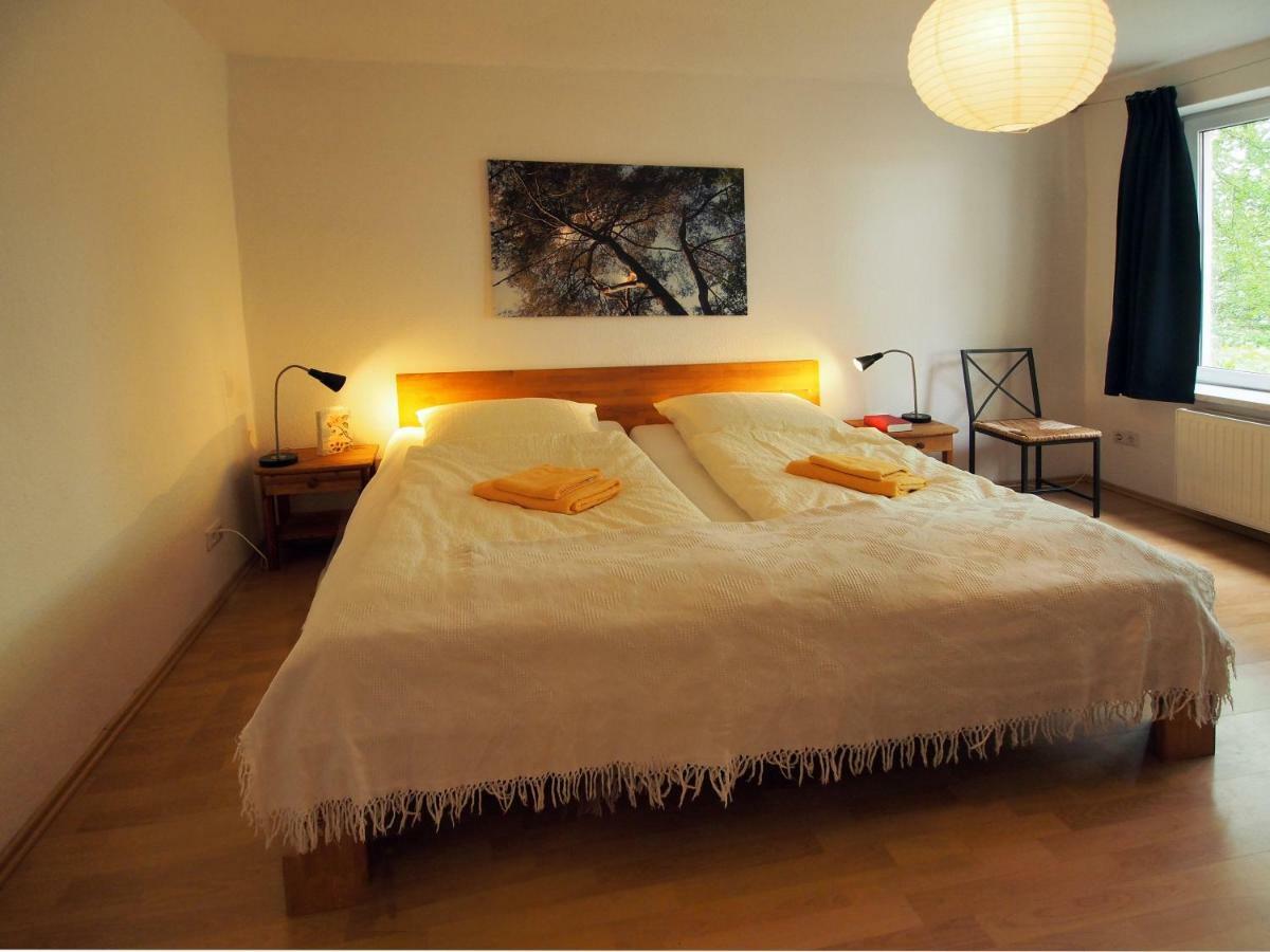 Ferienwohnung Am Duemmer See Dummer المظهر الخارجي الصورة